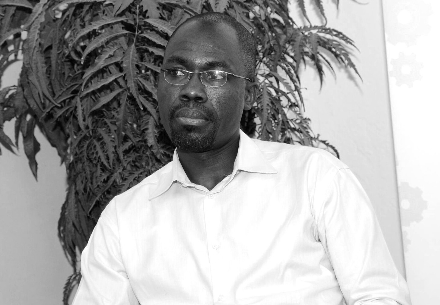 Open Innovation & Free Software Specialist